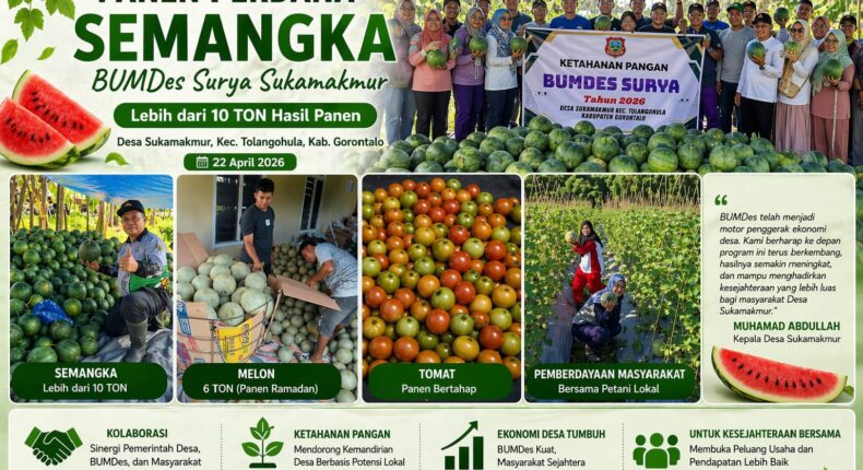 foto slider headline