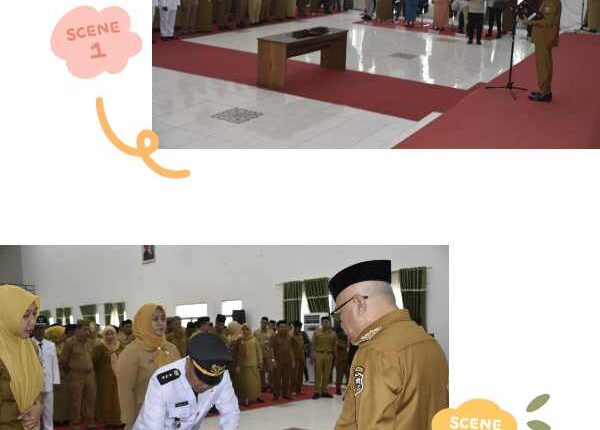 foto slider headline